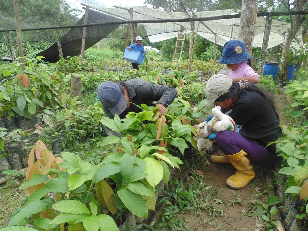 Producción agrícola