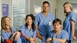 Greys Anatomy es una de las series más extensas y exitosas de las producciones estadounidenses.