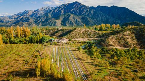 Todo Jujuy | Conocé la primera finca de turismo cannábico del país.