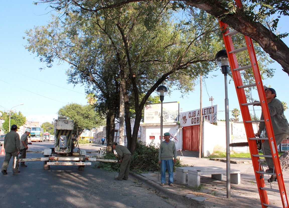 Corsos en la Éxodo