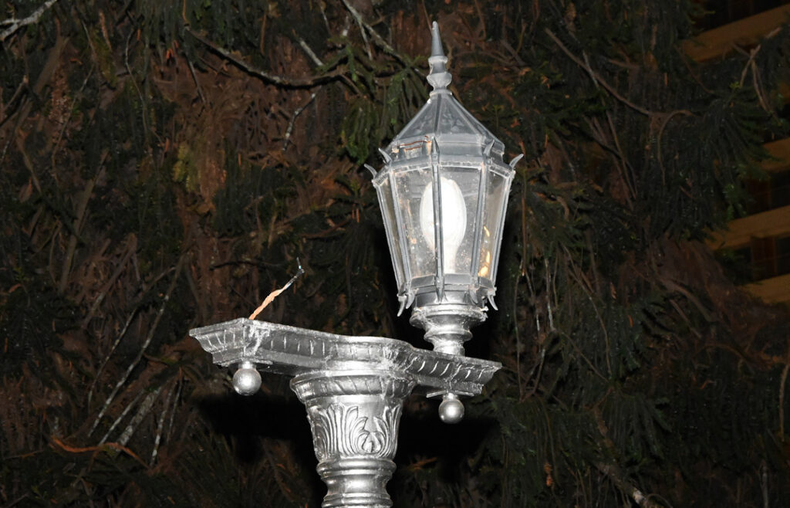 Vandalismo en Plaza Belgrano.