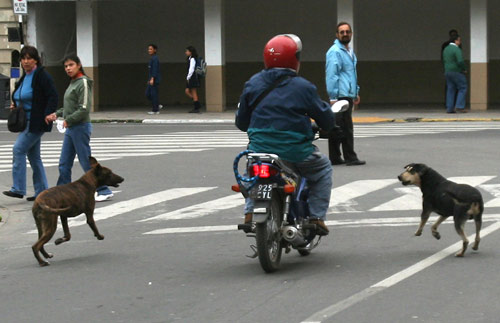 Foto ilustrativa.