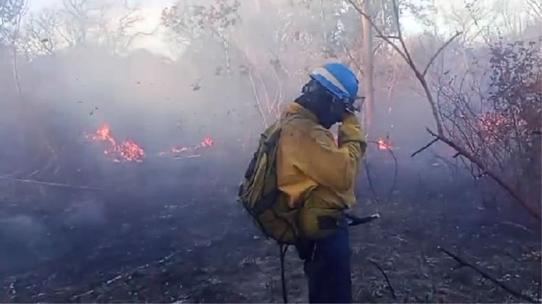 incendio en alto comedero