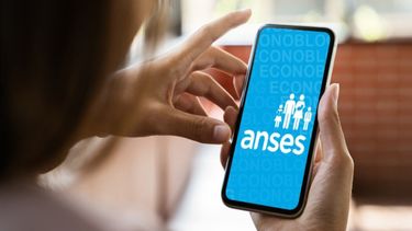 La Administración Nacional de la Seguridad Social (ANSES) oficializó el calendario de pagos de febrero. La Administración Nacional de la Seguridad Social (ANSES) oficializó el calendario de pagos de febrero.