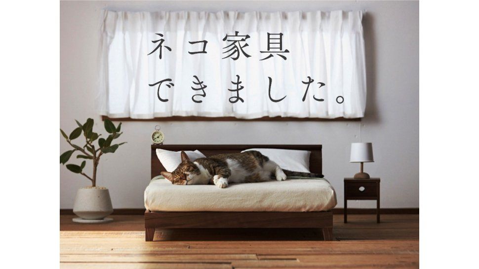 Fabrican mini muebles adaptados para gatos