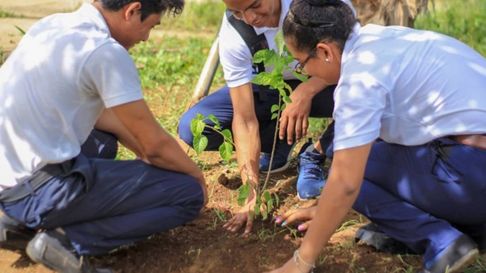Todo Jujuy | estudiantes arboles.jpg