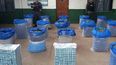 Decomisaron más de 17 mil atados de cigarrillos y 400 kilos de hojas de coca en Salta y Jujuy