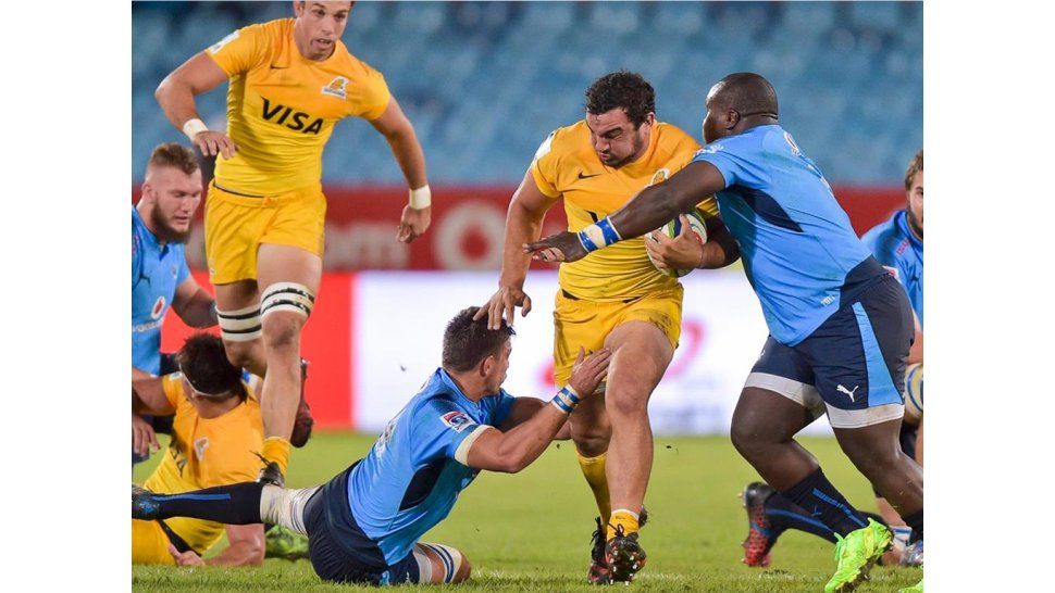 Jaguares en Sudáfrica