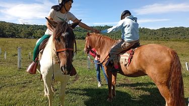 Fundación Jujeña de Equinoterapia.