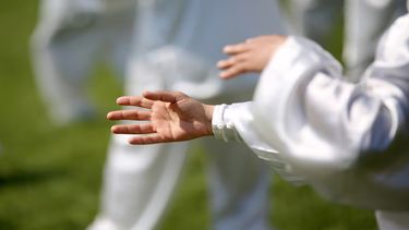 El Tai chi es una de las actividades recomendadas por la Universidad de Harvard para mantenerse en forma.