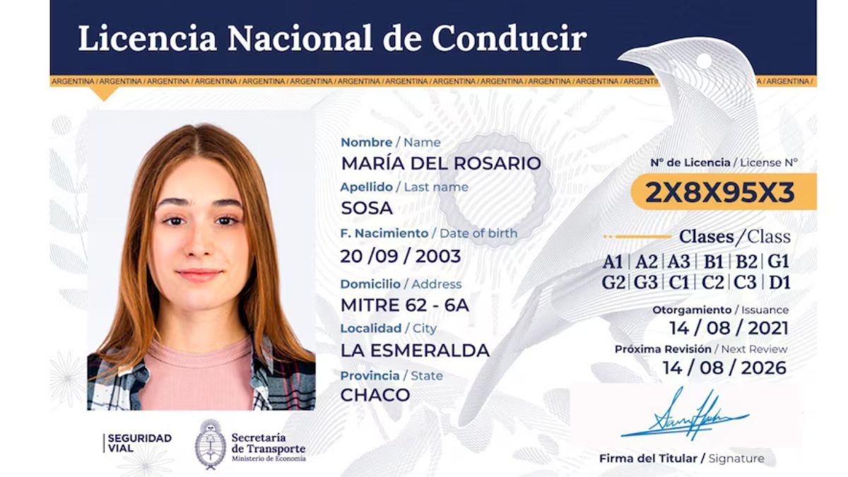En 18 provincias y CABA ya funciona el nuevo sistema de licencia de conducir digital. El documento tiene un diseño distinto al anterior.visibility&nbsp;edit&nbsp;delete
