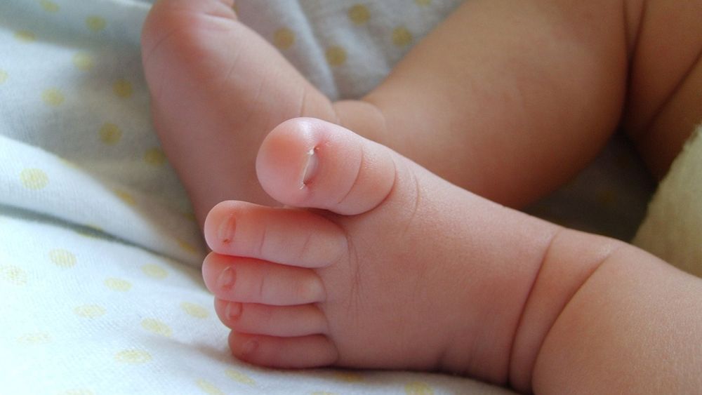 bebé