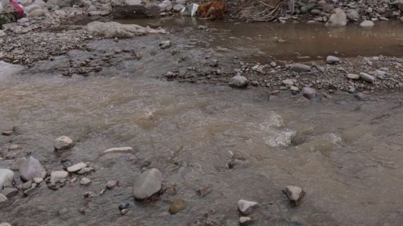 En este sector del arroyo Las Martas estaba el animal En este sector del arroyo Las Martas estaba el animal