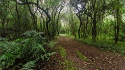 Parque Nacional El Rey&nbsp;