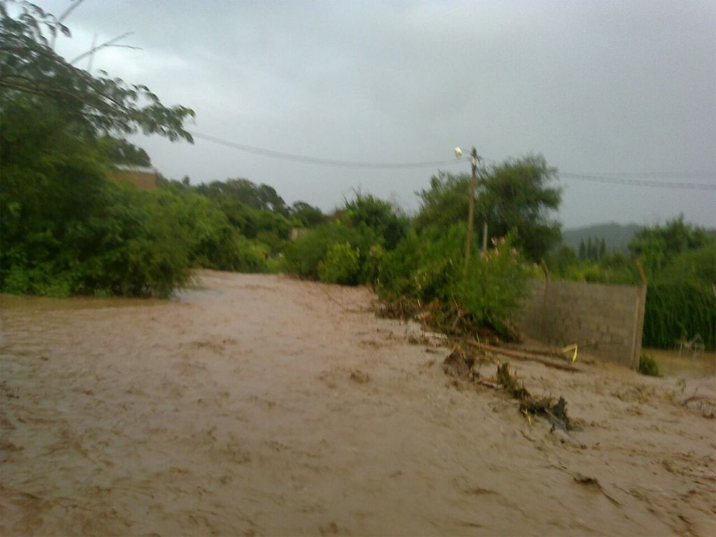 Los Alisos