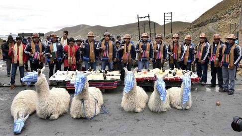 Todo Jujuy | pachamama sacrificio animales 22.jpg