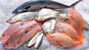Pescado en Semana Santa