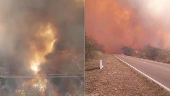 Incendios forestales en Jujuy.