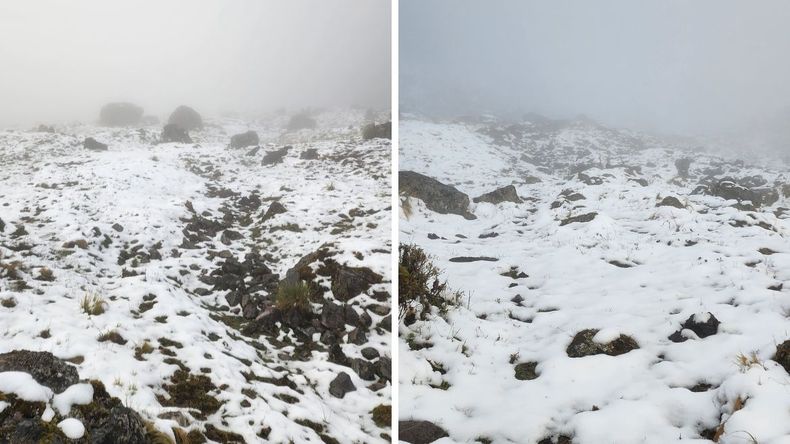 Nieve de Jujuy. Nieve de Jujuy.