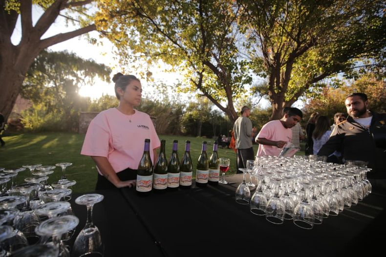 Vendimia de El Bayeh: el festival que hace crecer al vino jujeño en la Quebrada Vendimia de El Bayeh: el festival que hace crecer al vino jujeño en la Quebrada