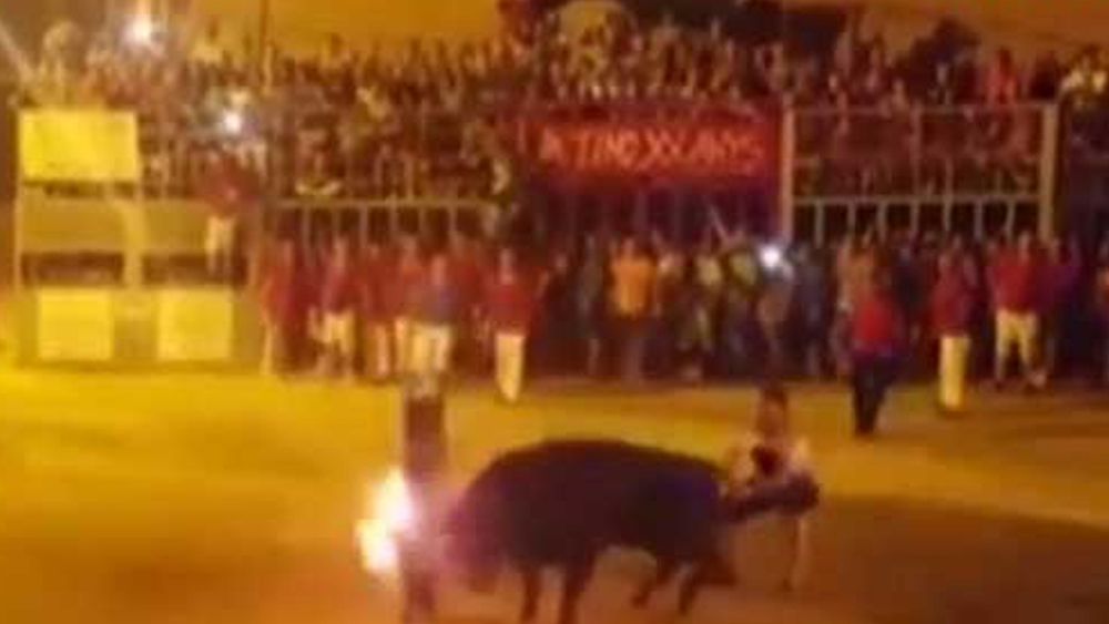 "toro embolado"
