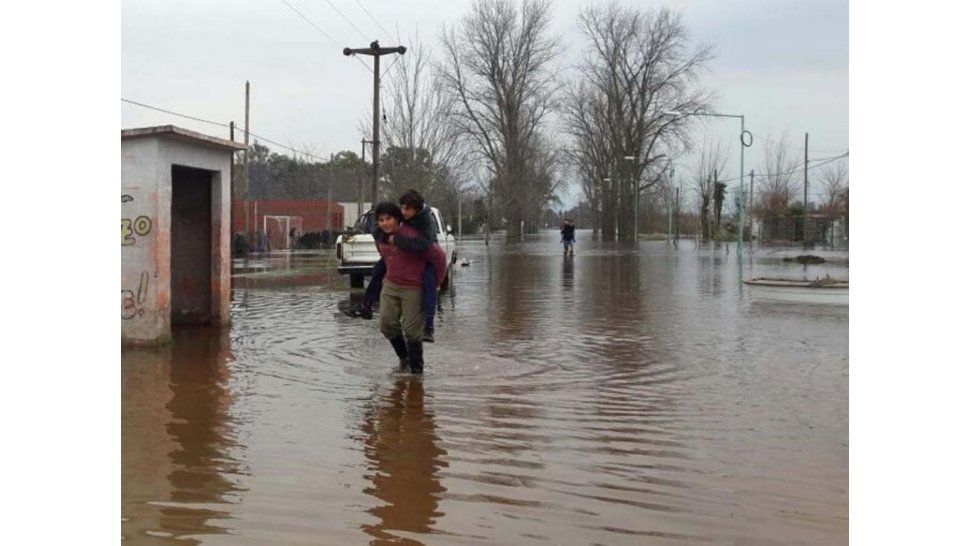 Volver a casa
