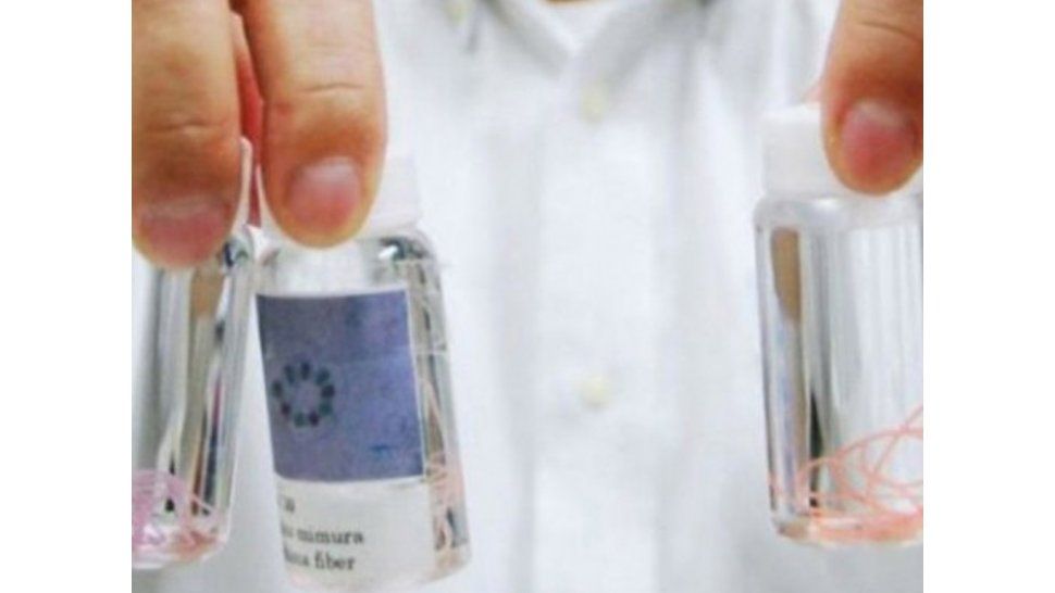 hilo con células vivas