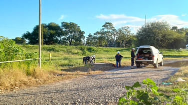 Arreglo de la fuga de gas.