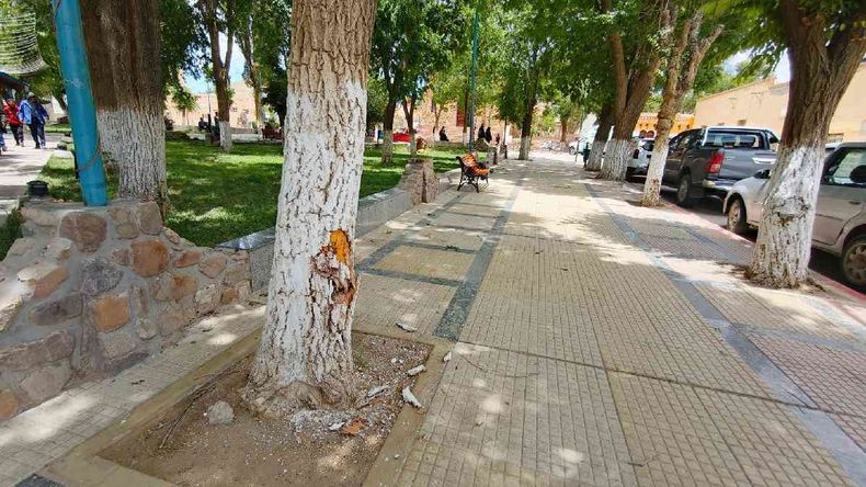 Camioneta chocó contra un árbol y un paredón en La Quiaca (Foto Noti Quiaca) Camioneta chocó contra un árbol y un paredón en La Quiaca (Foto Noti Quiaca)
