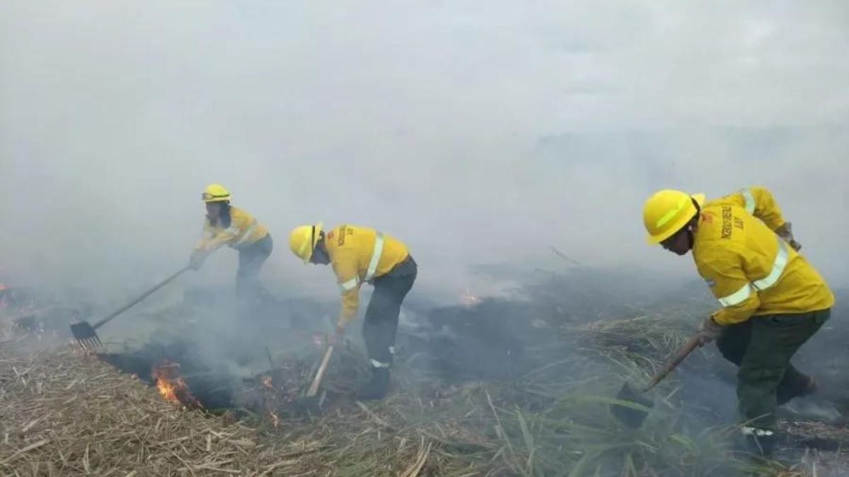 Incendios: Inscripciones A La Diplomatura Para Brigadistas