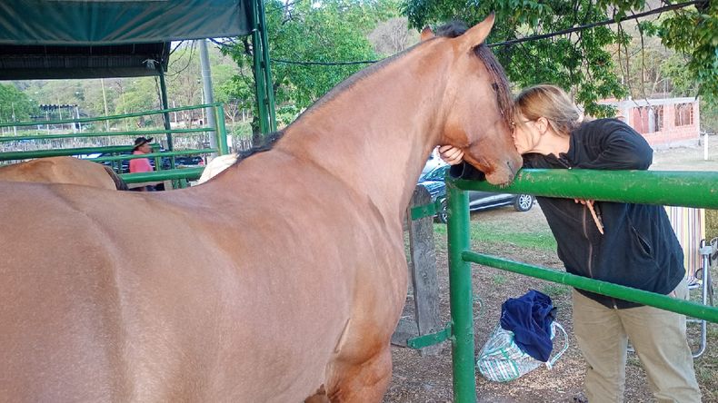 Expo Caballos Criollos 2025 a la Sociedad Rural Jujeña