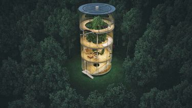 La casa de vidrio está ubicada en el medio de un bosque.