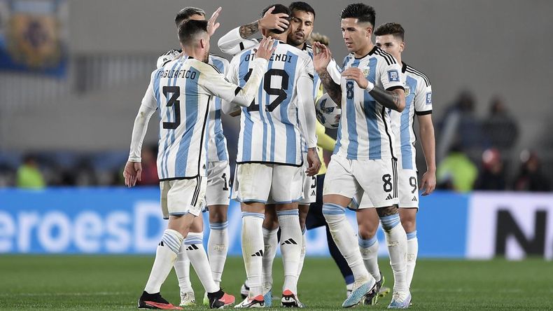 El partido de la selección Argentina frente a Ecuador será en el Soldier Field&nbsp;de&nbsp;Chicago.