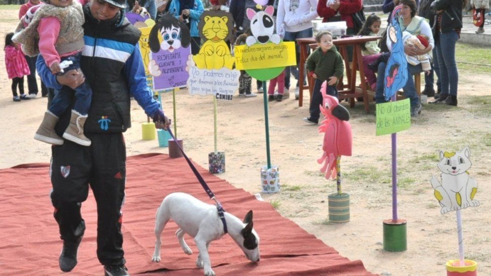 se viene una nueva edicion de la movida mascotera