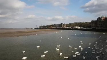 El campo cerca de Mistley en el río Stour, donde se dio el hallazgo.