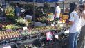 Feria de Plantas en Palpal&aacute;