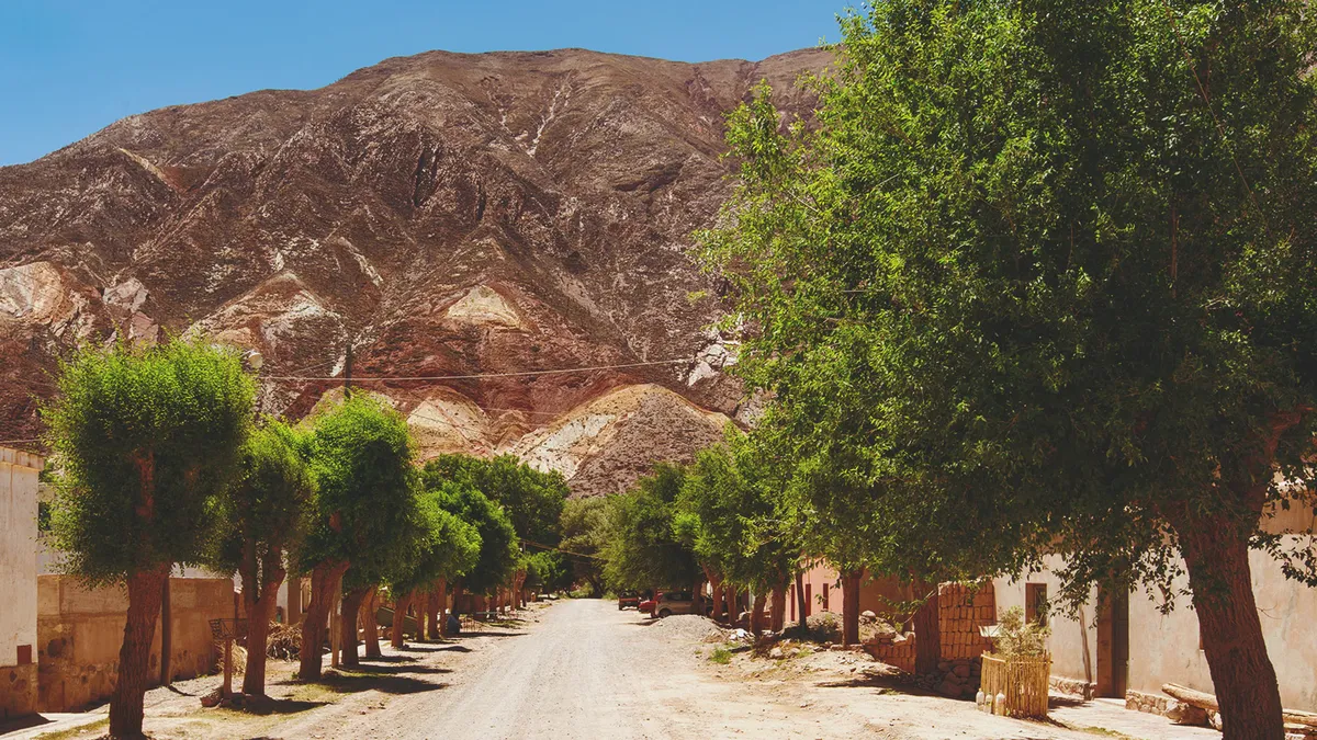 The quiet solace of nature