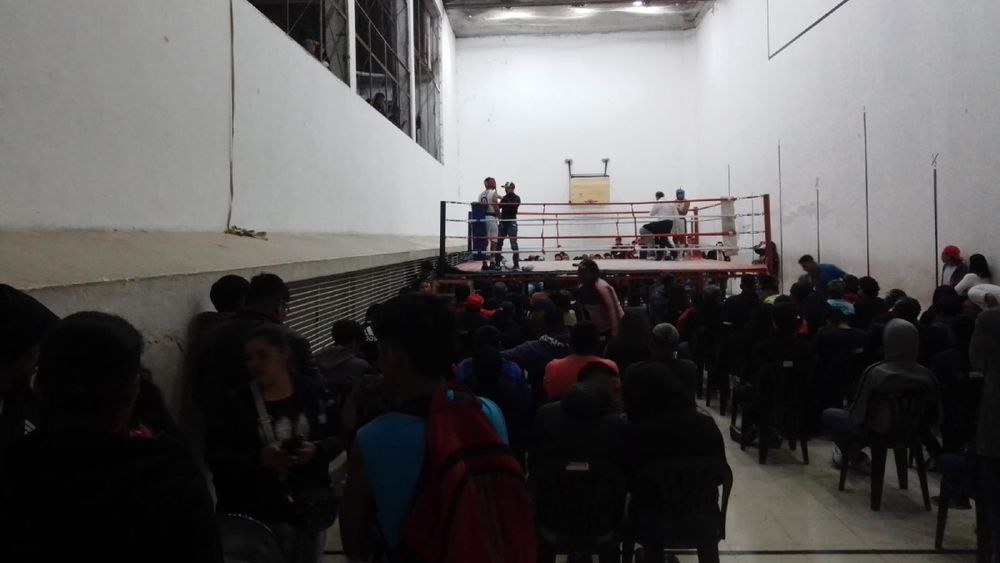 Jujuy al Regional de Mayores de boxeo