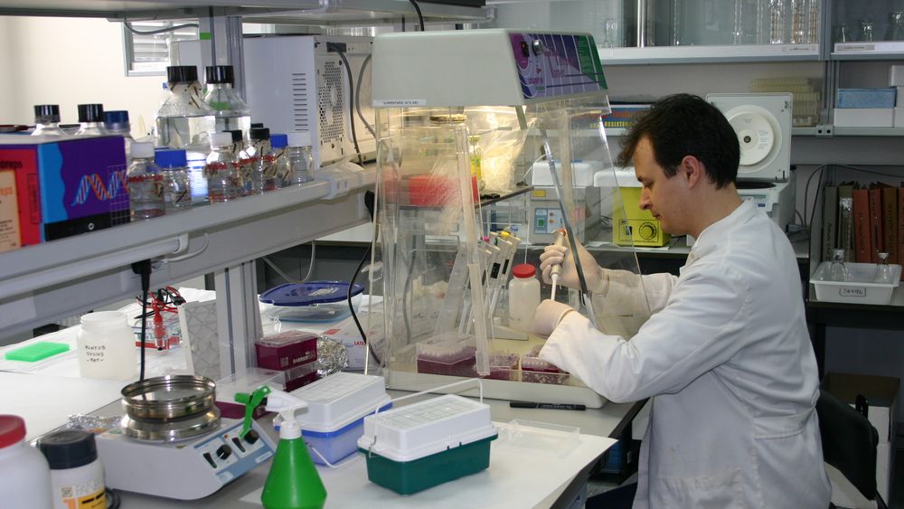 Tregua con el PAMI: los bioquímicos atenderán a los afiliados mientras negocian 