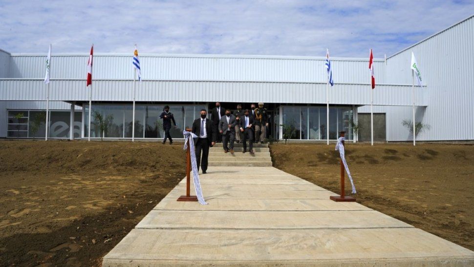 Uruguay: inauguraron una planta de procesamiento de cáñamo medicinal
