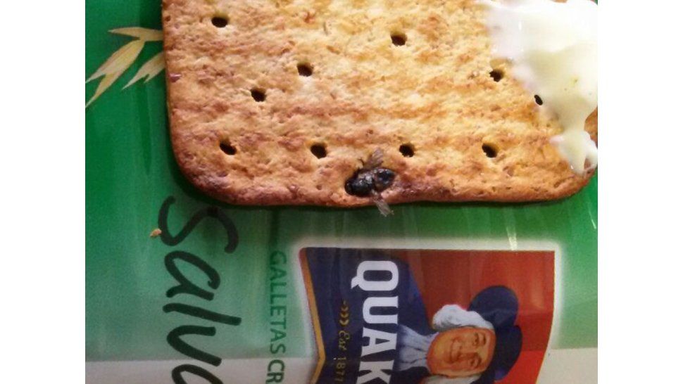 Mosca en la galleta