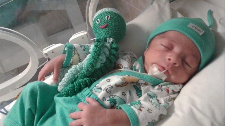 Bebés prematuros reciben sus pulpitos terapéuticos. 