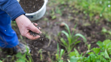 El campo en alerta por el conflicto en Medio Oriente: cómo impacta en Jujuy El campo en alerta por el conflicto en Medio Oriente: cómo impacta en Jujuy