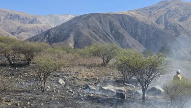 Incendios forestales en Jujuy (Archivo)