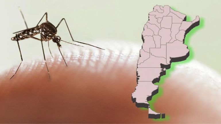 Dengue en Argentina.
