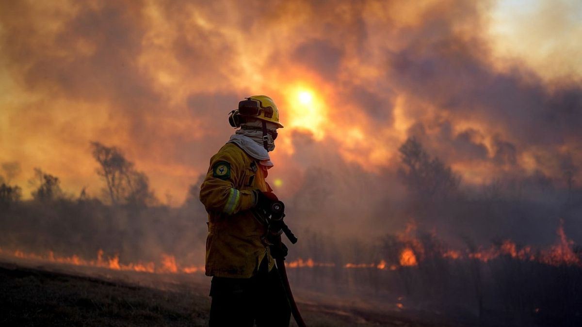 Incendio Forestal en Jujuy: más de 7 mil hectáreas afectadas