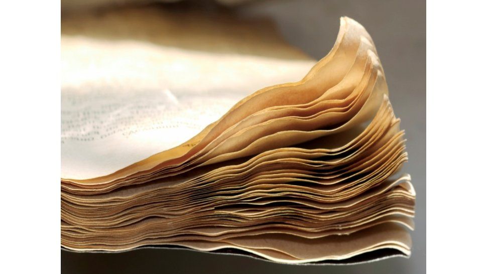 Libro mojado