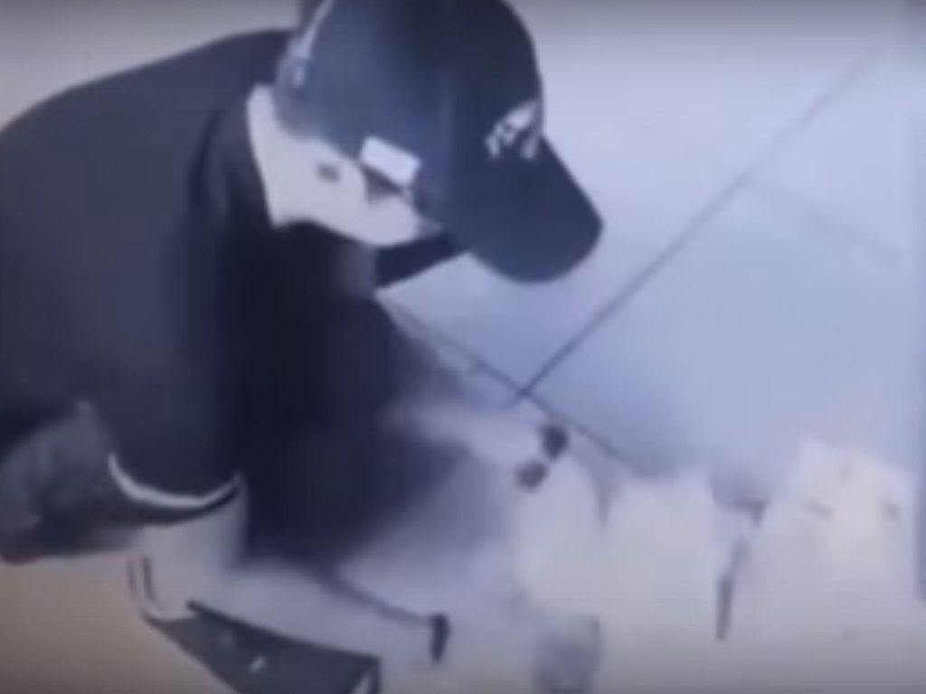 Captura de video