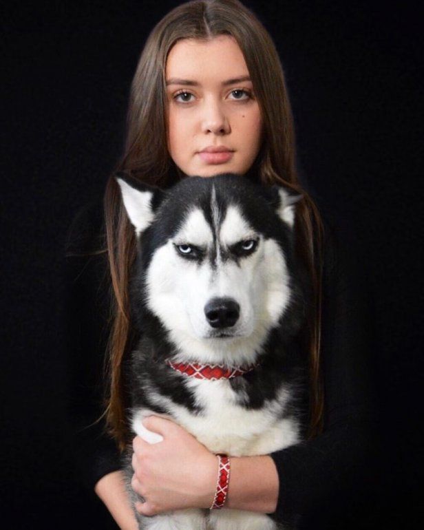husky