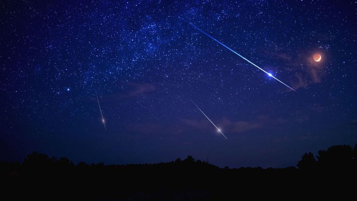 Lluvia de estrellas Leónidas cuándo será y dónde se verá